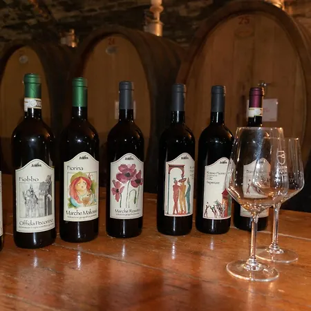 Oviv - La Dimora Del Borgo 3* Acquaviva Picena